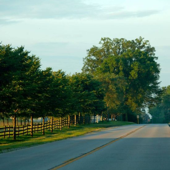 An empty county road at dusk, a white fence lining the tree shaded two lane road